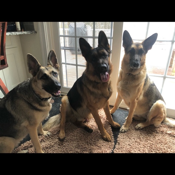 Meet your Posher, Allison - Picture 4 of 4